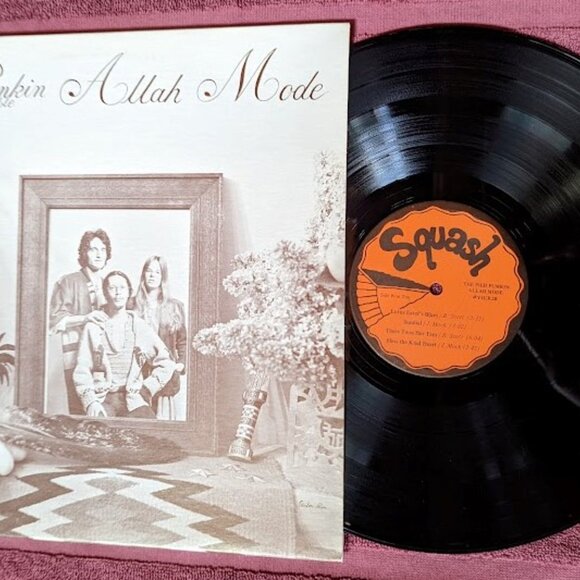 FURTHER REDUCED Vintage Vinyl LP –Pied Pumkin Allah Mode String Ensemble–© 1976 - Picture 3 of 6